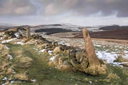 Gate Posts by Ian Dakin